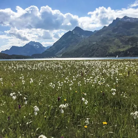 דירה Pra D'sura 104 By Interhome