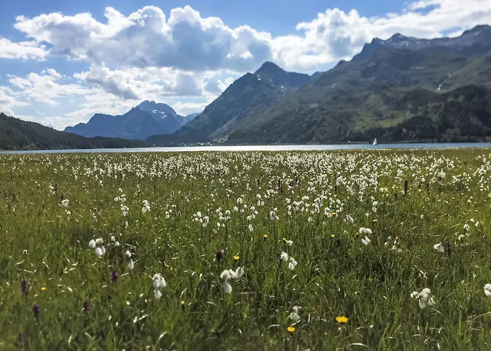 דירה Pra D'sura 104 By Interhome